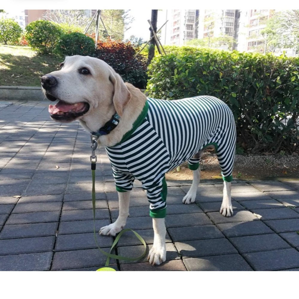 Pet style medium dog pjs
